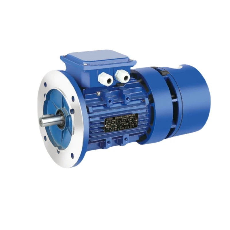 Electromagnetic Brake Induction Motor 5.5KW